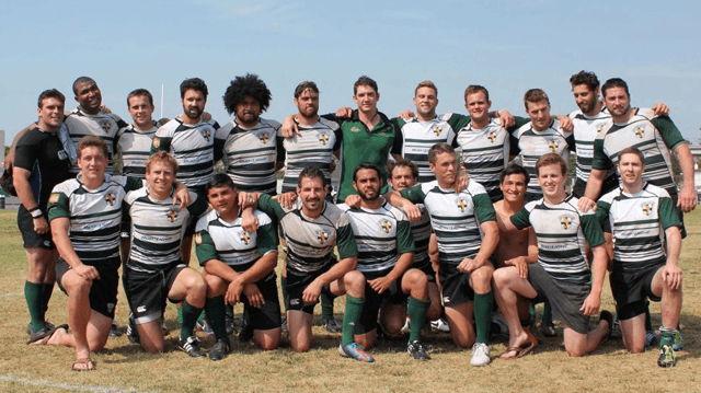 2013dolphins