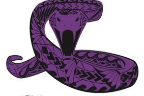 Utah Vipers